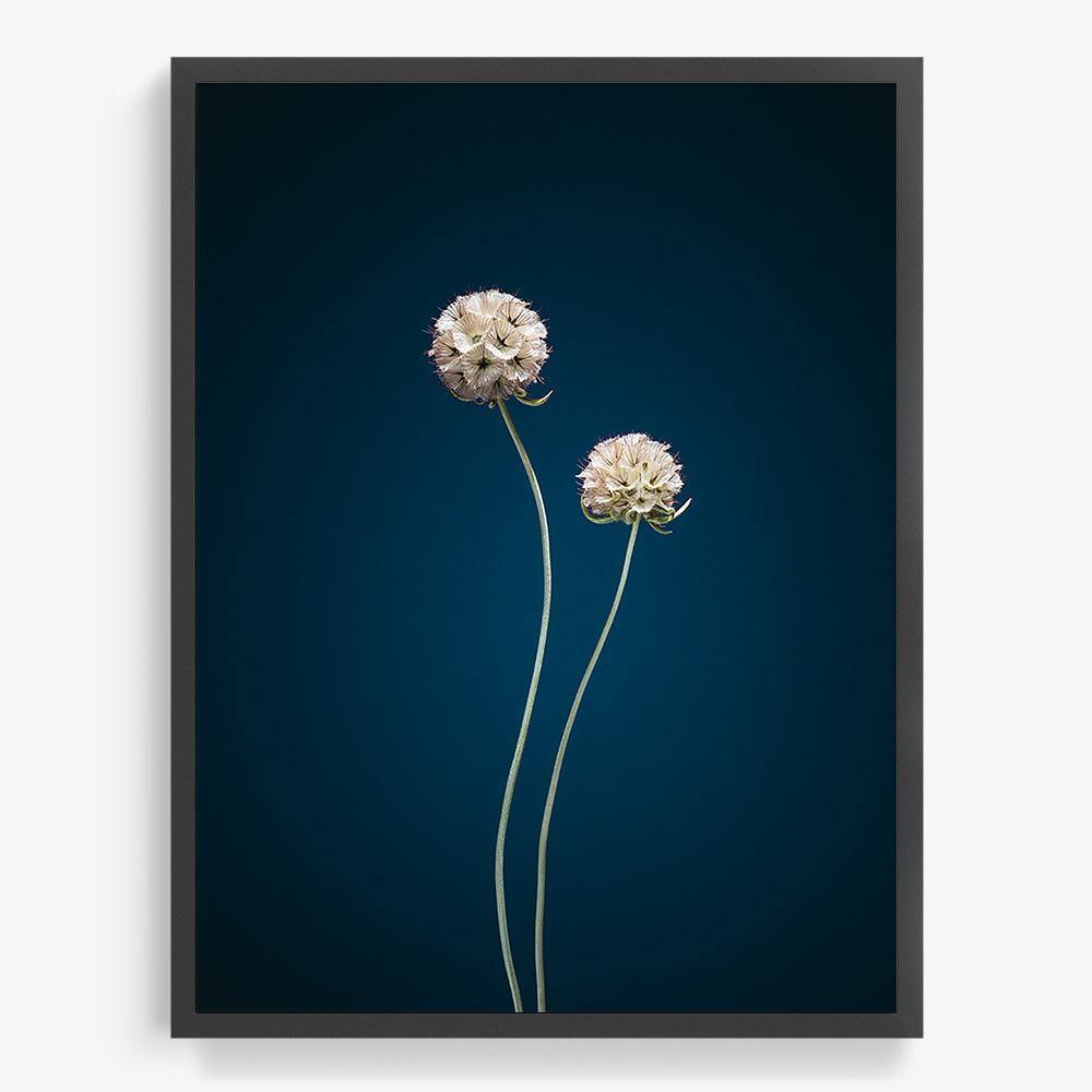 Photograph by Jan Prengel