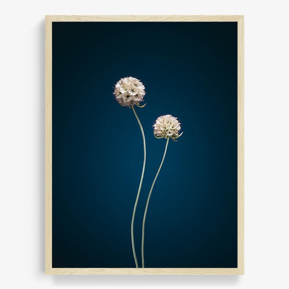 Photograph by Jan Prengel