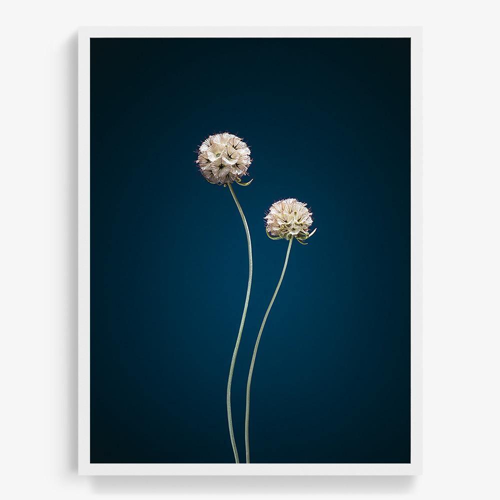 Photograph by Jan Prengel