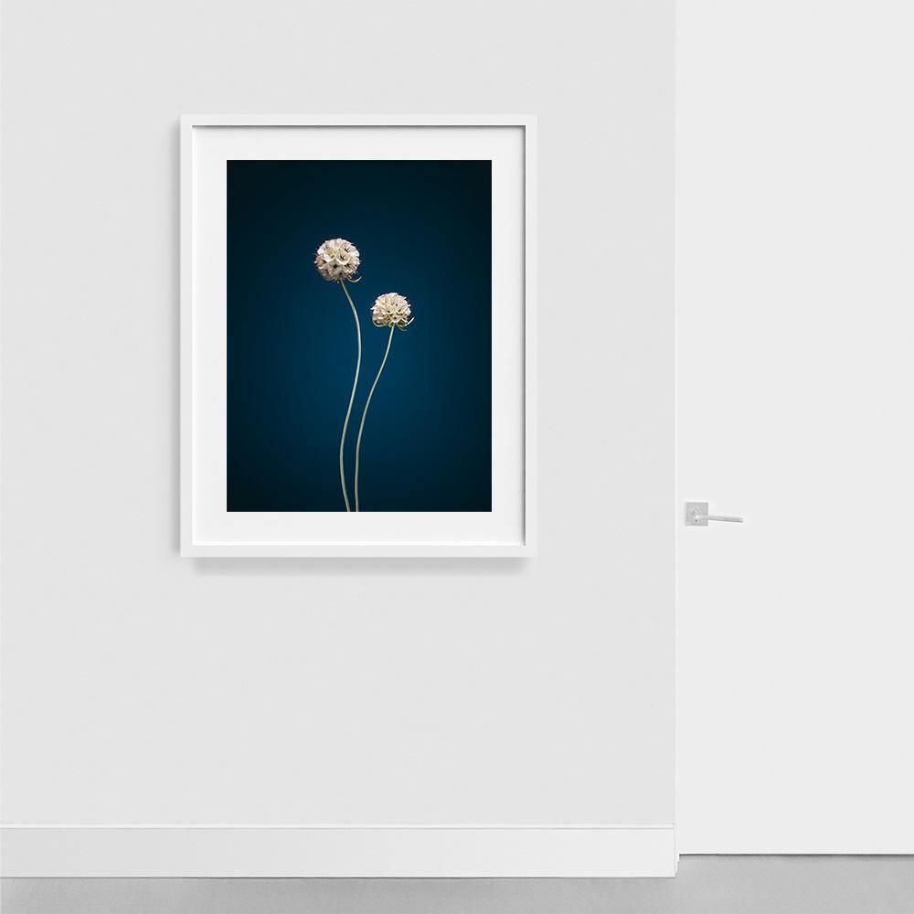 Photograph by Jan Prengel
