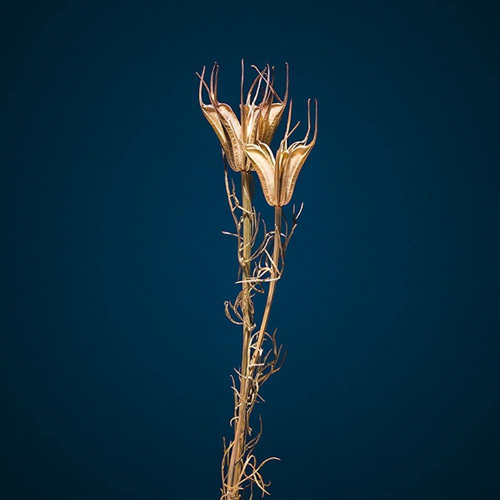 Photograph by Jan Prengel