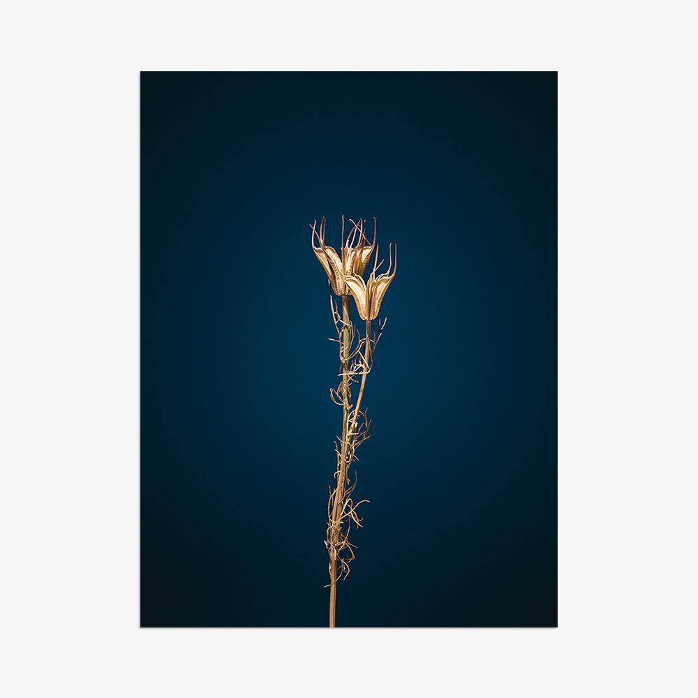 Photograph by Jan Prengel