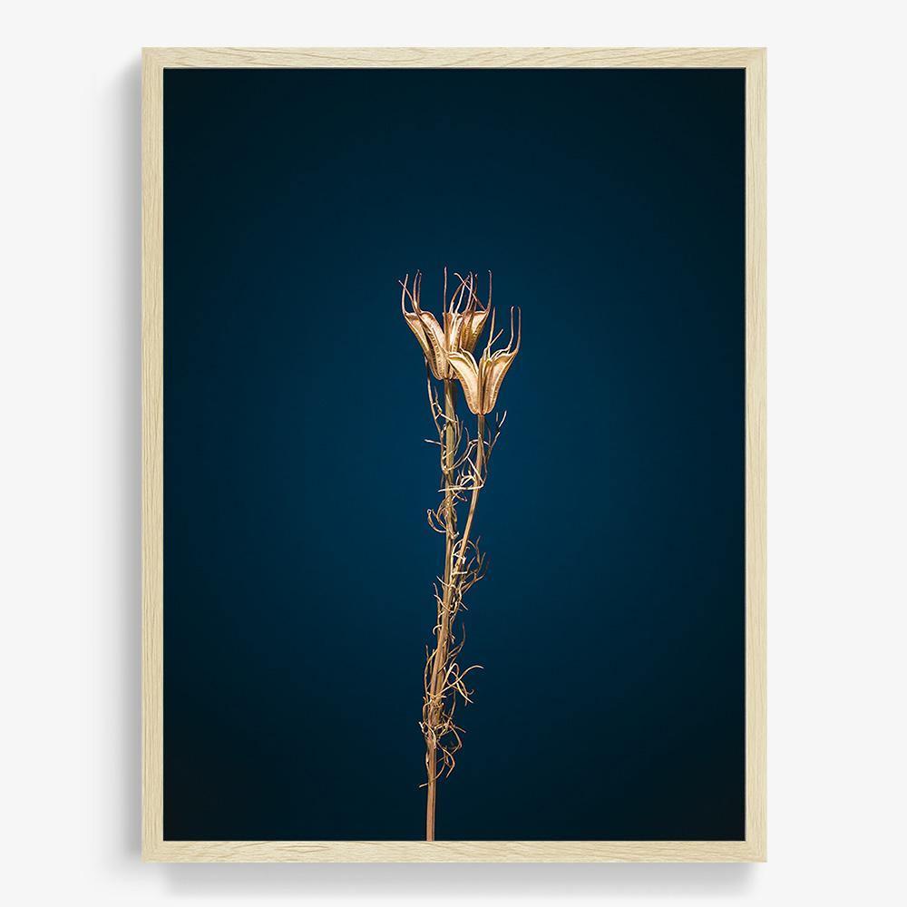 Photograph by Jan Prengel