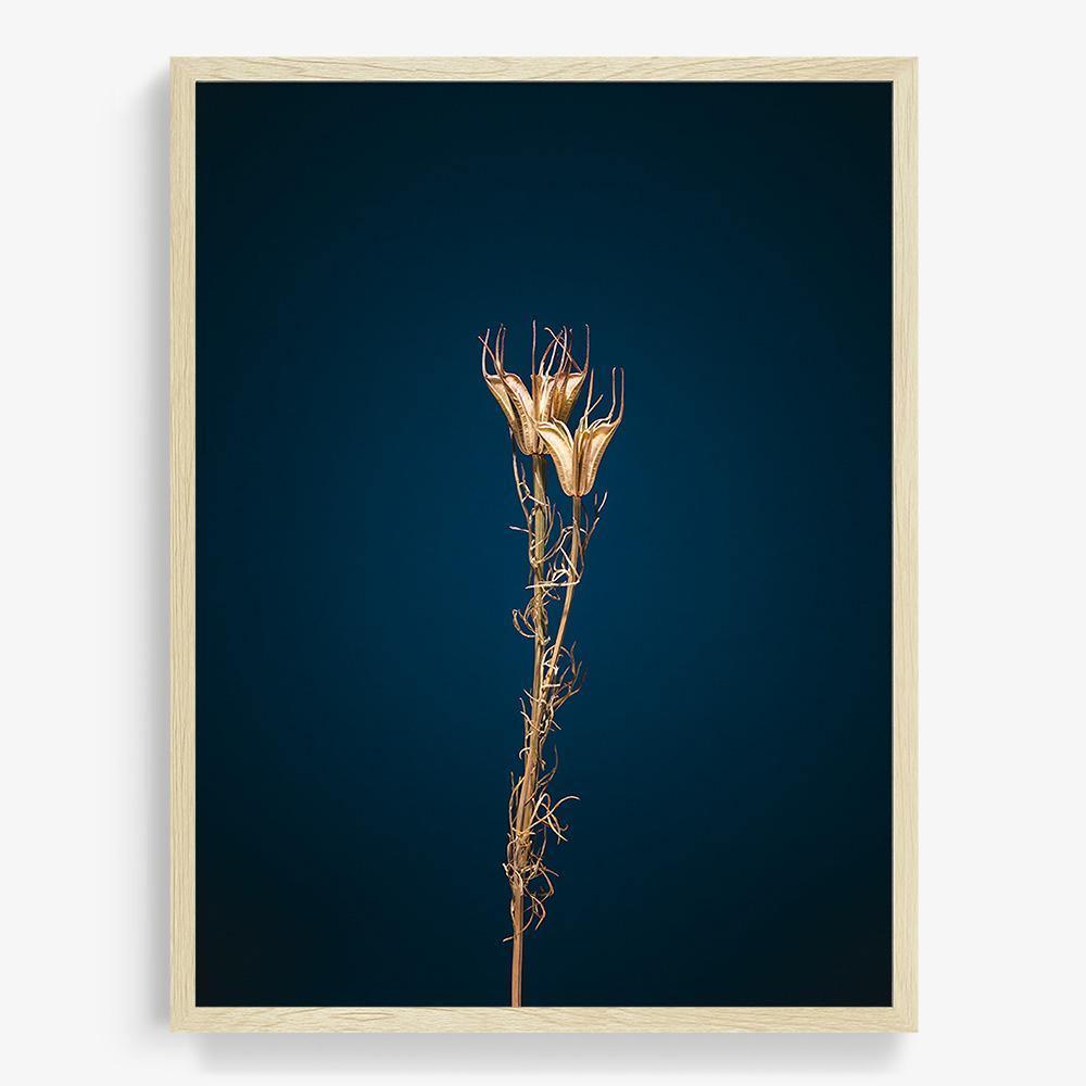 Photograph by Jan Prengel