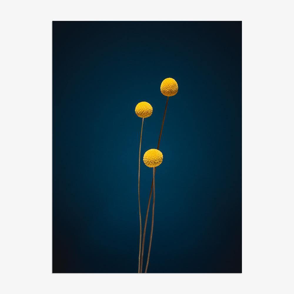 Photograph by Jan Prengel