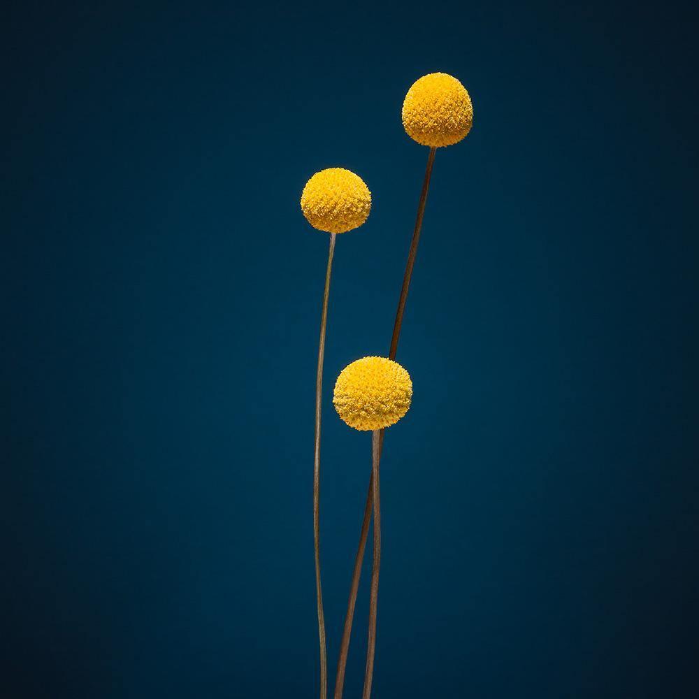Photograph by Jan Prengel