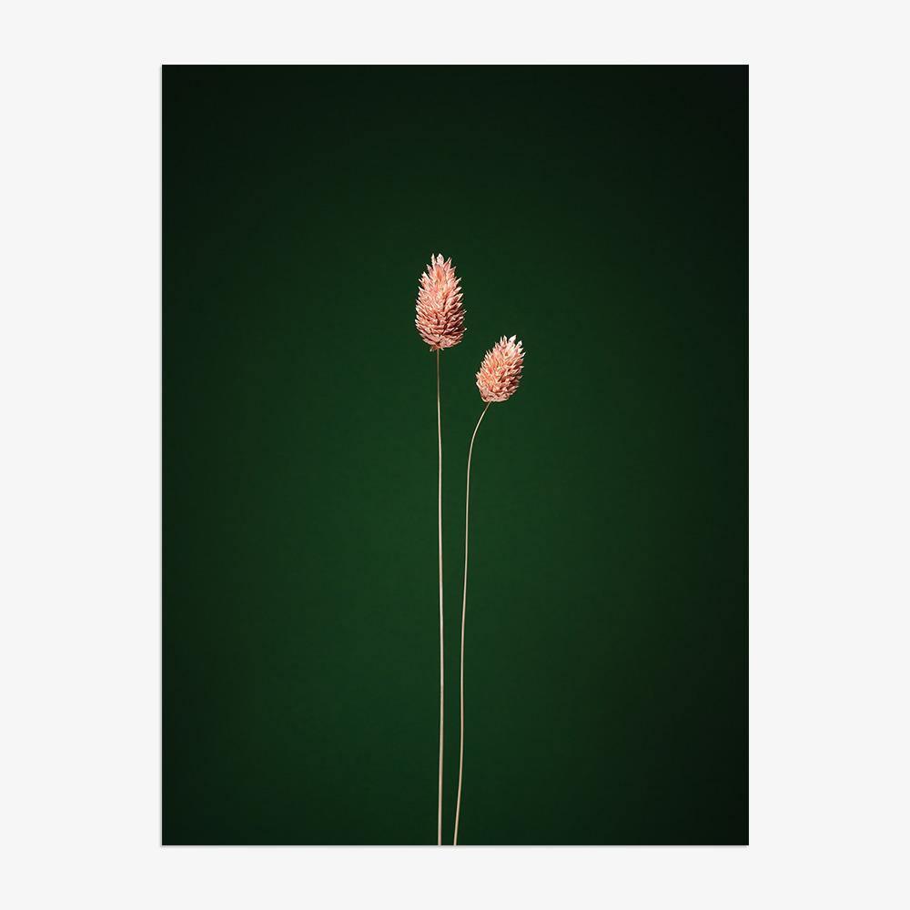 Photograph by Jan Prengel