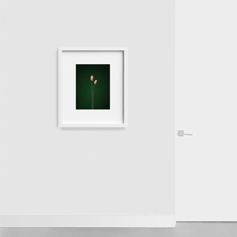 Photograph by Jan Prengel