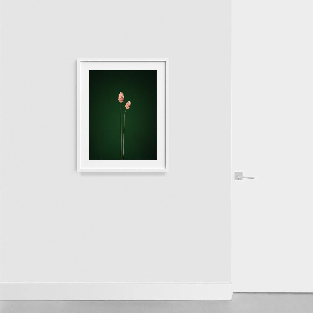 Photograph by Jan Prengel