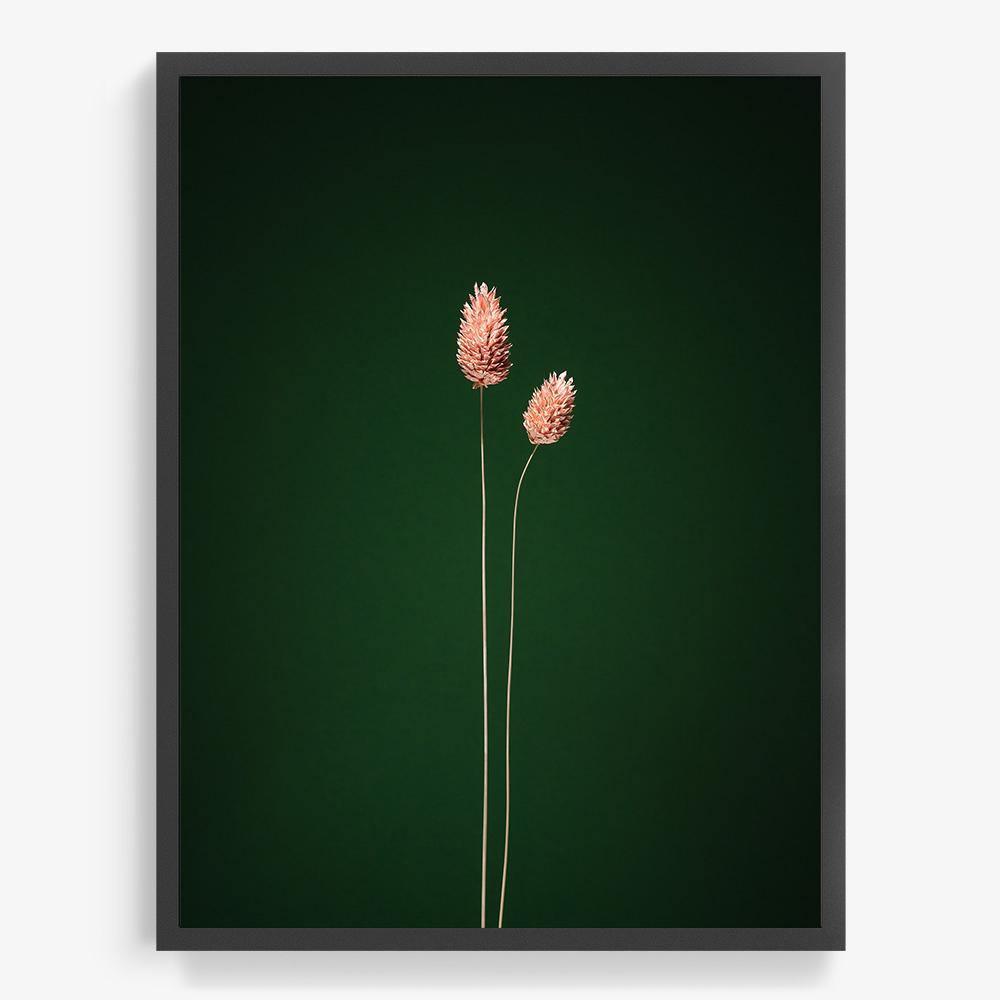 Photograph by Jan Prengel