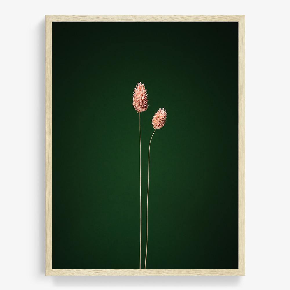 Photograph by Jan Prengel