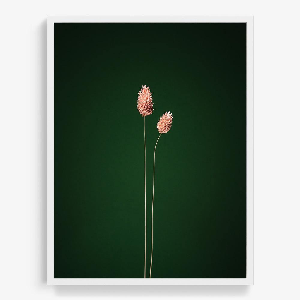 Photograph by Jan Prengel