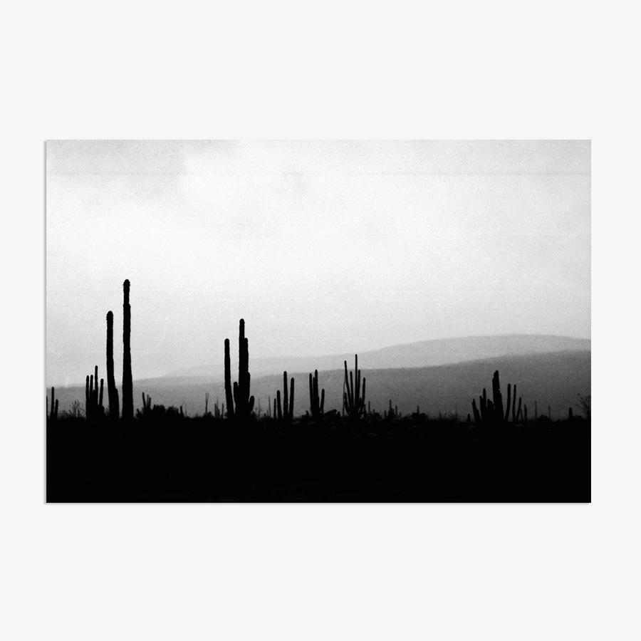 Photography by Isaac Zoller