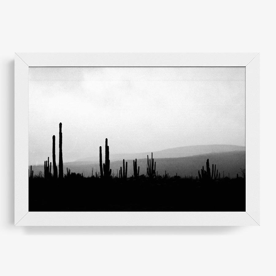Photography by Isaac Zoller