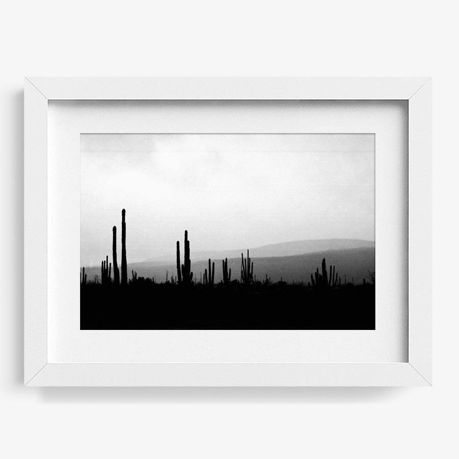 Photography by Isaac Zoller