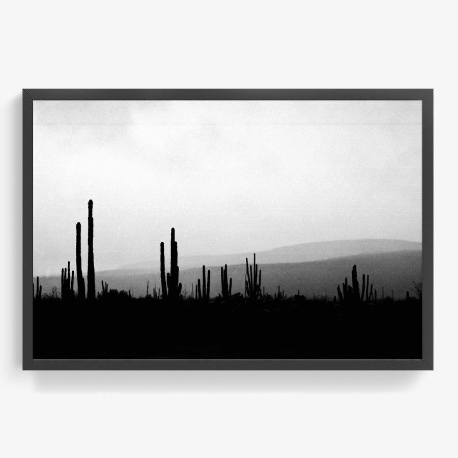 Photography by Isaac Zoller