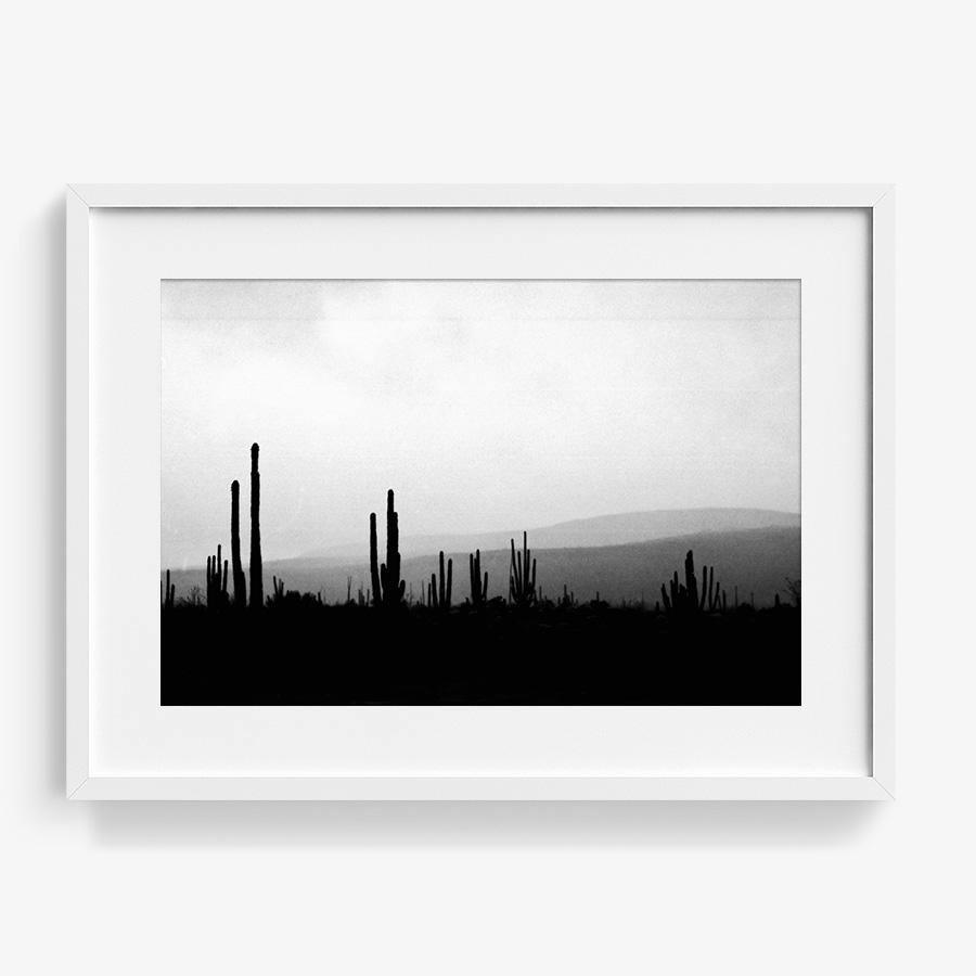 Photography by Isaac Zoller