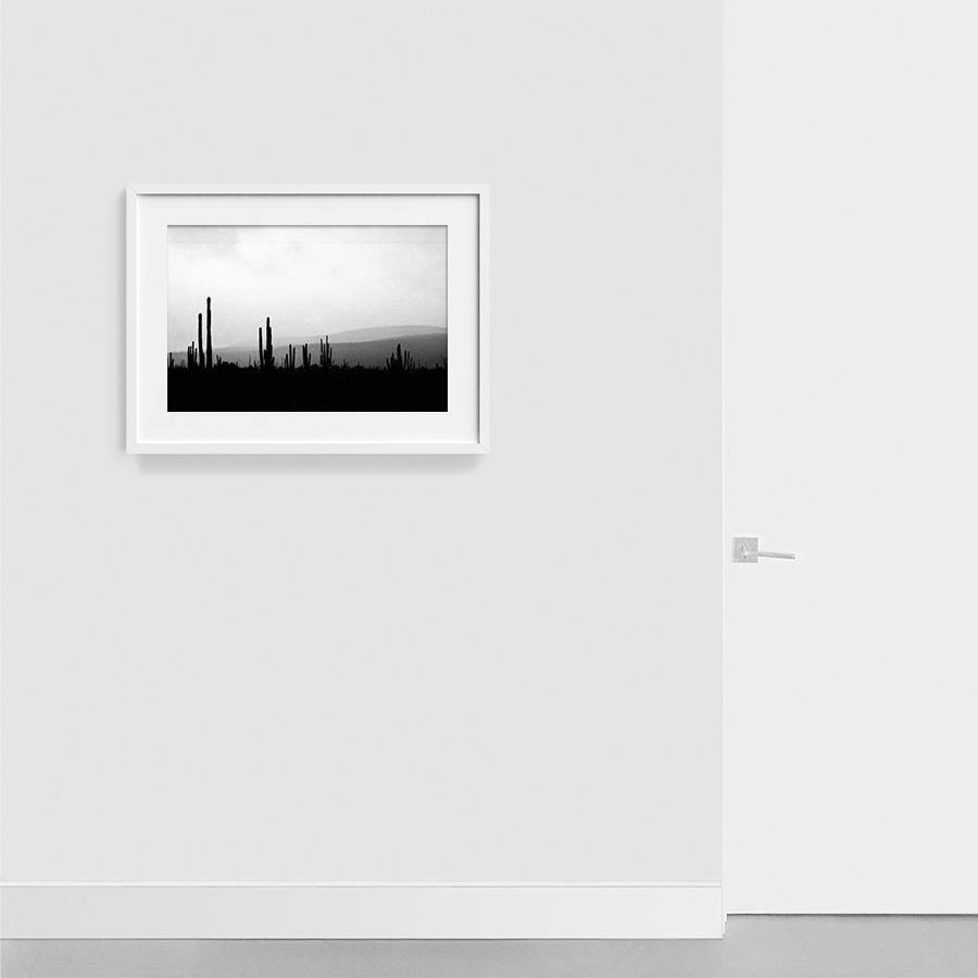 Photography by Isaac Zoller