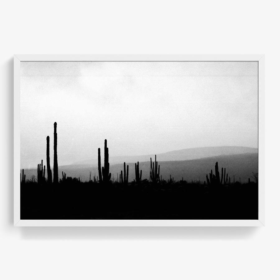 Photography by Isaac Zoller