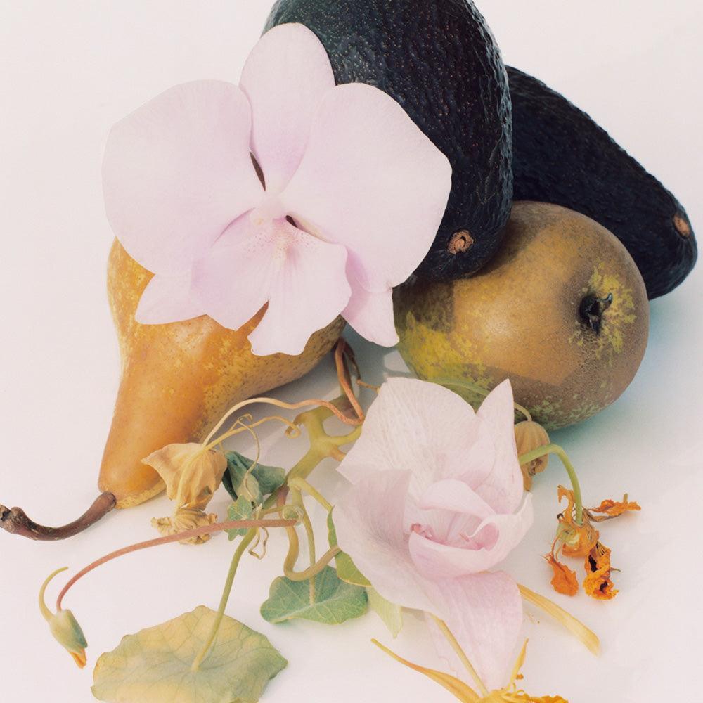 Photograph by Jacques Brun