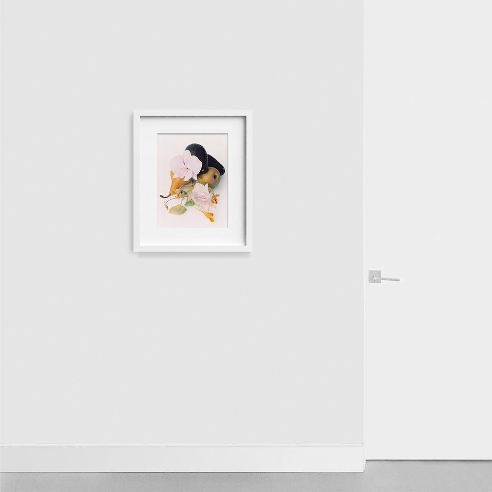 Photograph by Jacques Brun