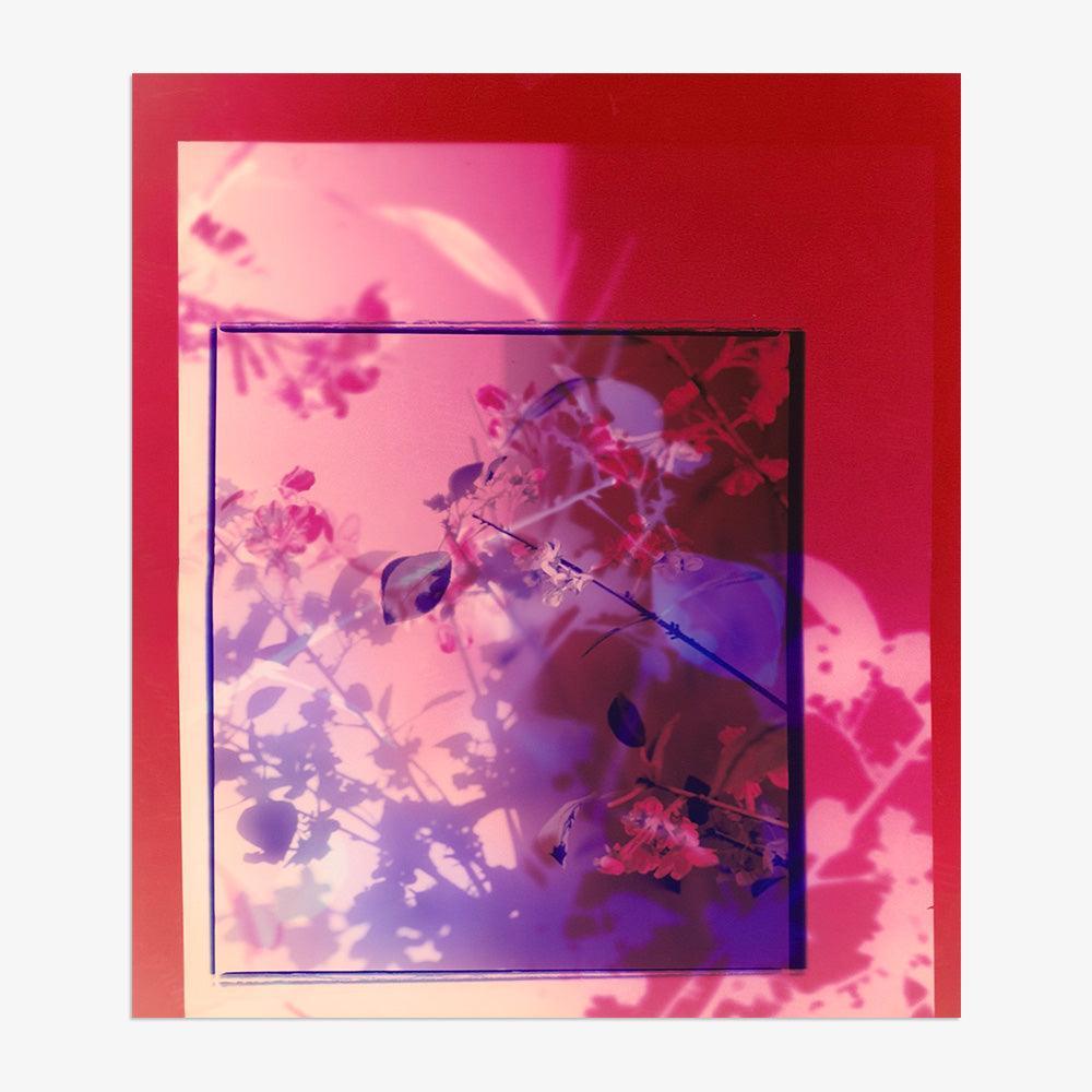 Photograph by Katie Burdon