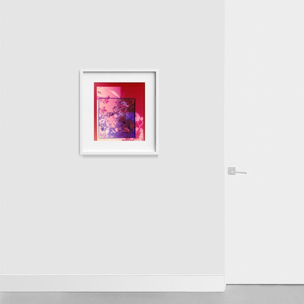 Photograph by Katie Burdon