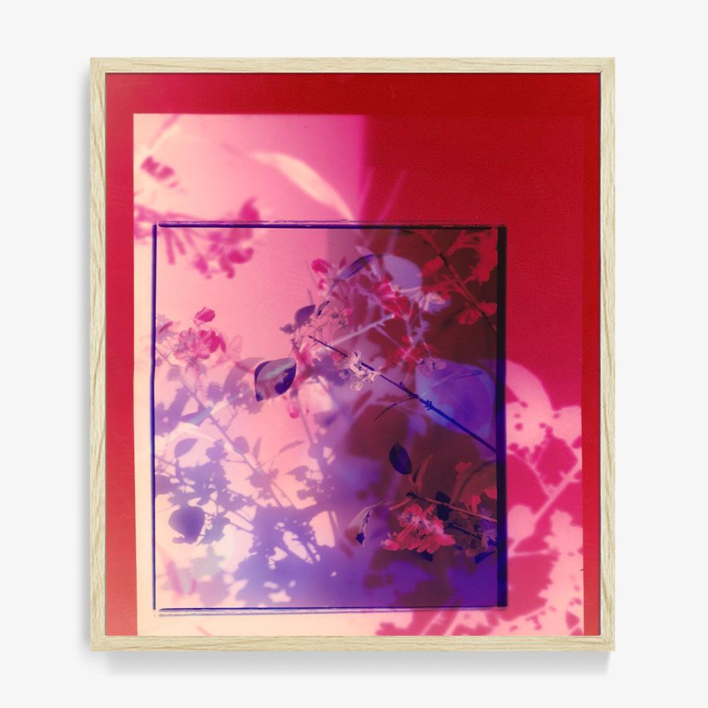 Photograph by Katie Burdon