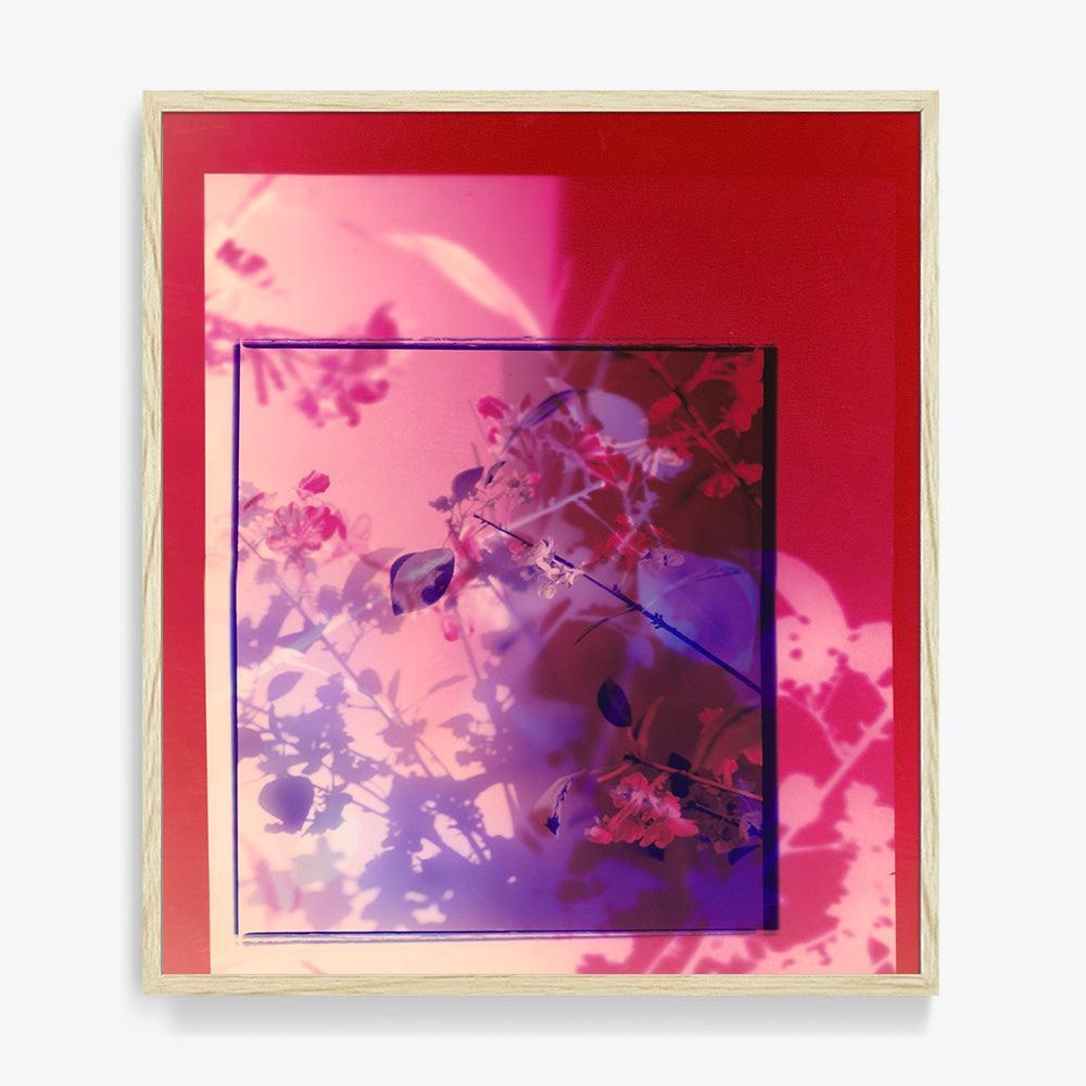 Photograph by Katie Burdon