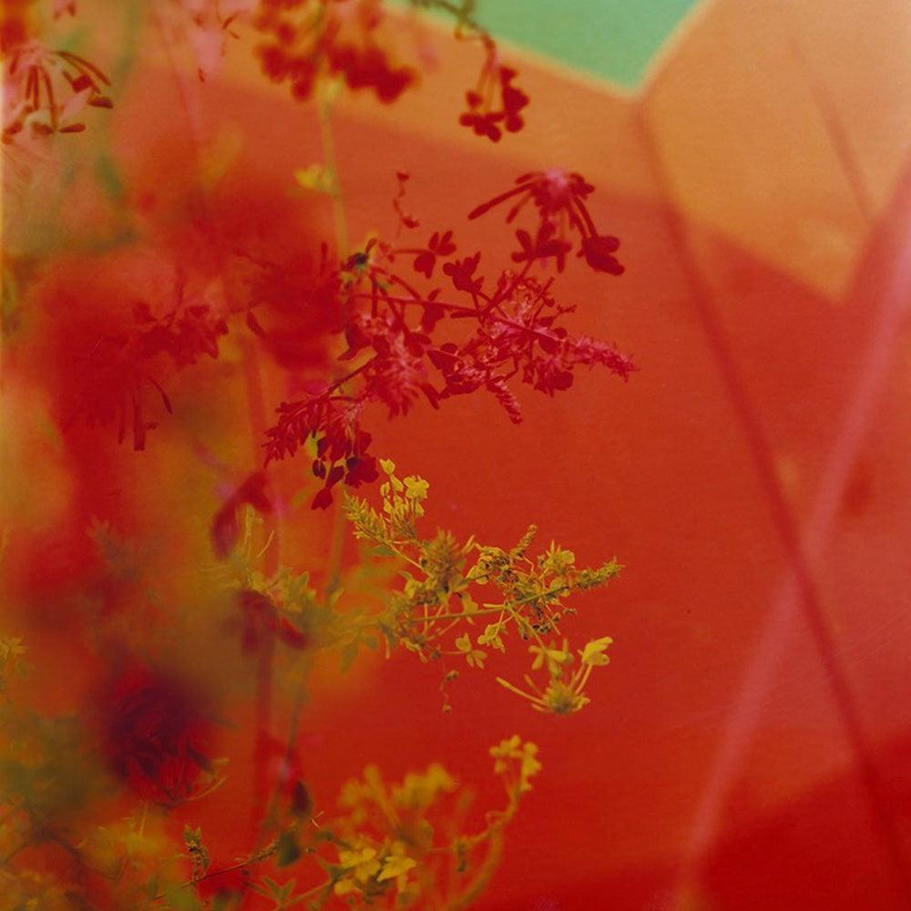 Photograph by Katie Burdon