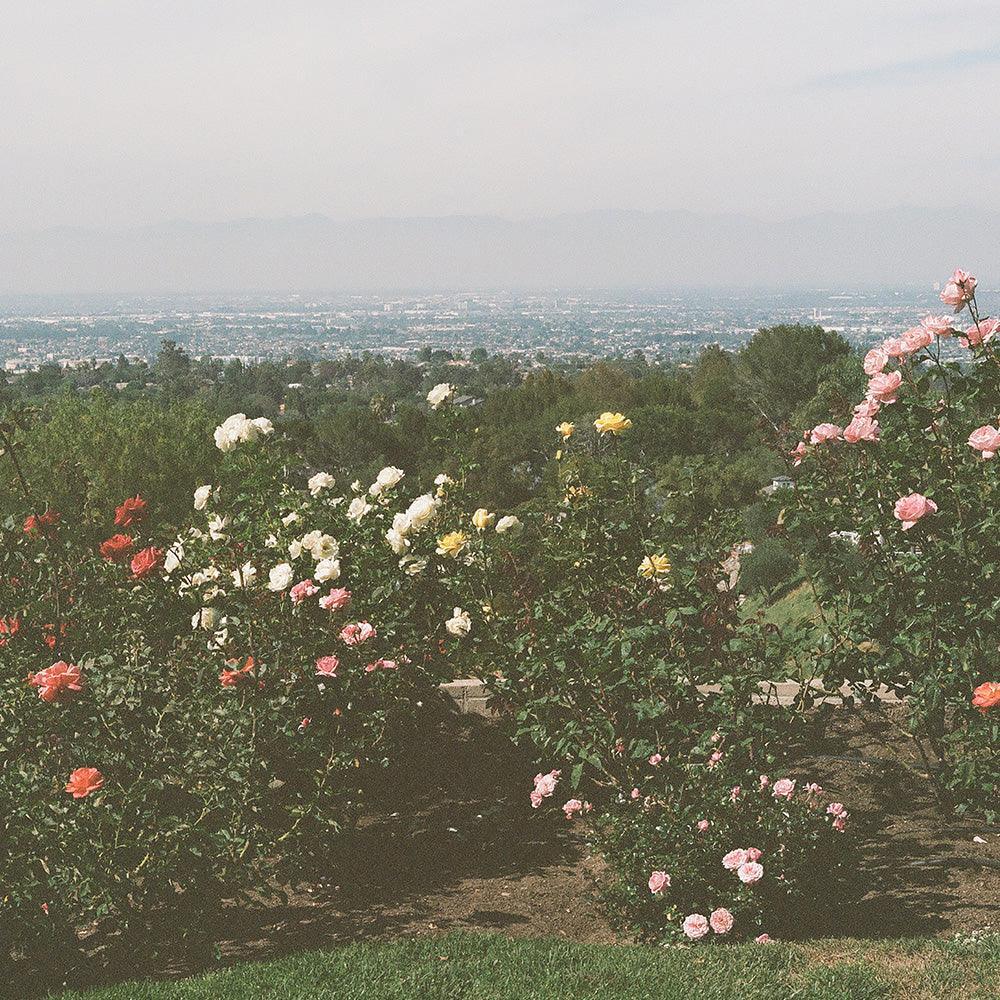 Photograph by Gia Coppola