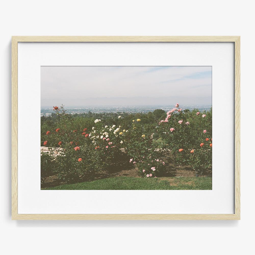 Photograph by Gia Coppola