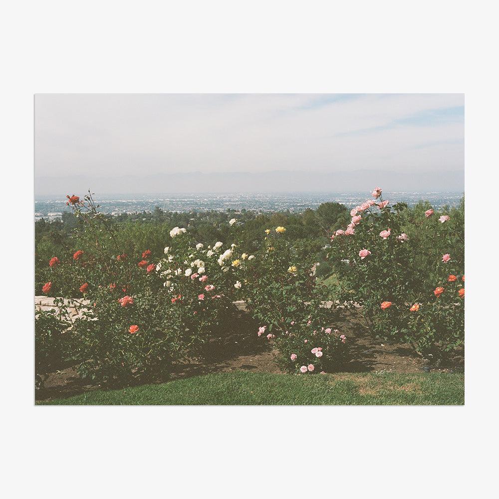 Photograph by Gia Coppola