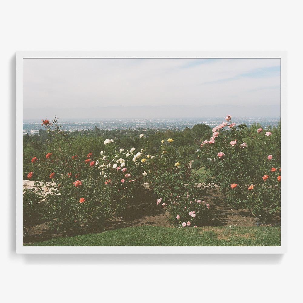 Photograph by Gia Coppola