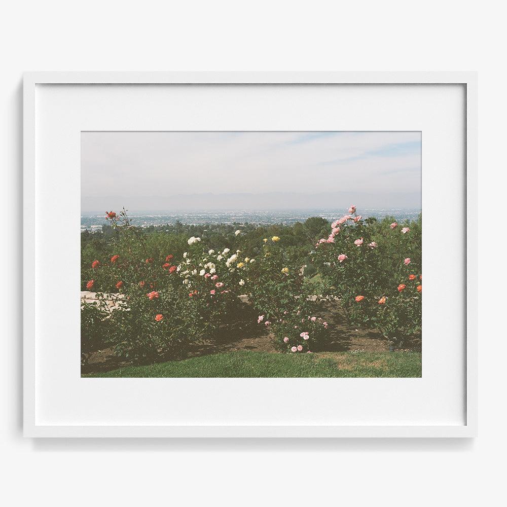 Photograph by Gia Coppola