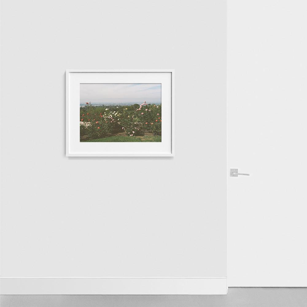 Photograph by Gia Coppola