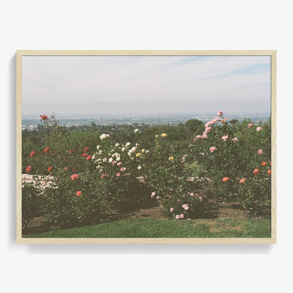 Photograph by Gia Coppola