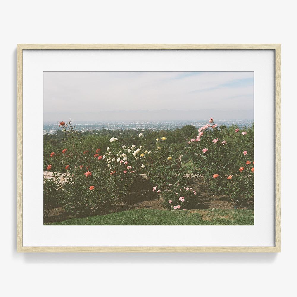 Photograph by Gia Coppola