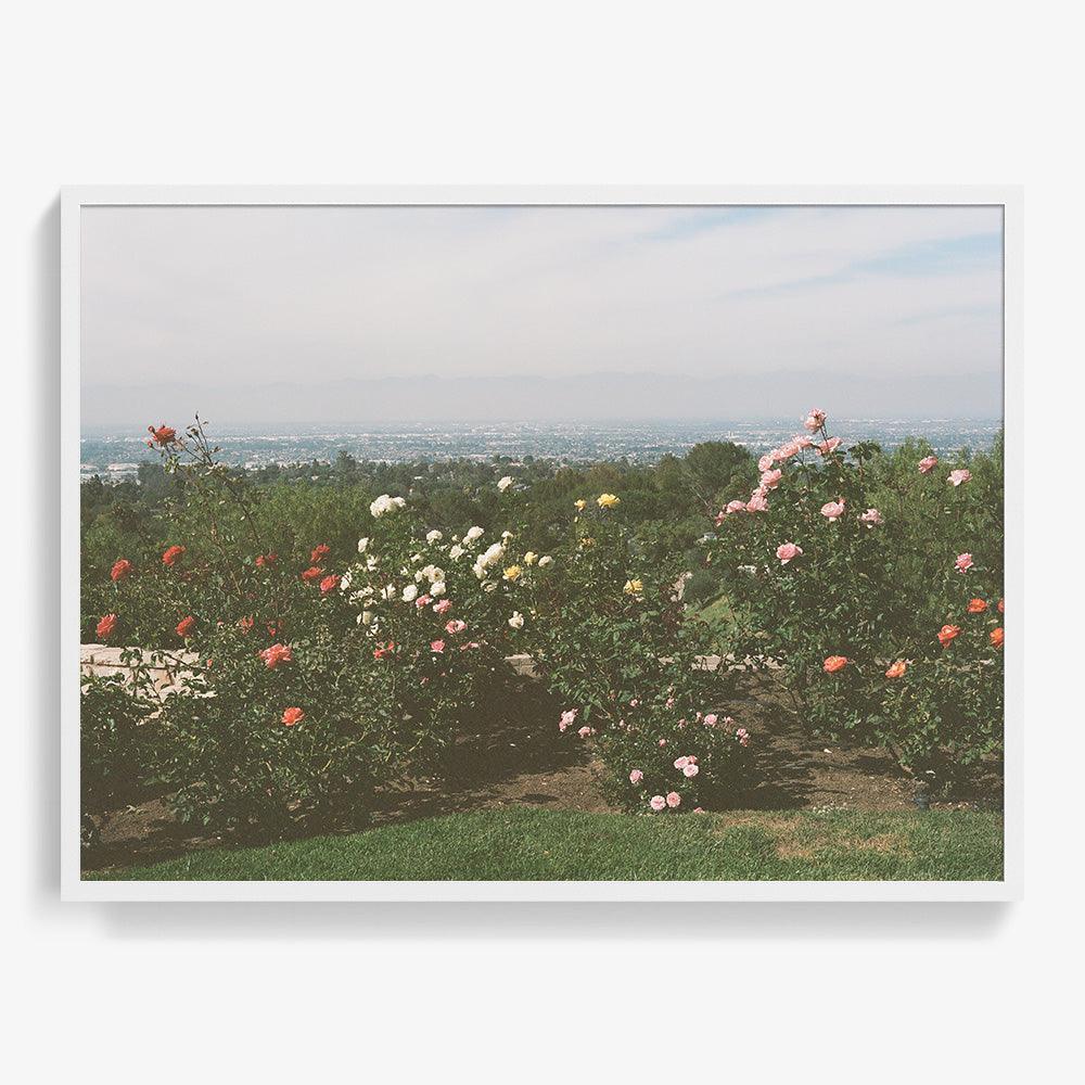 Photograph by Gia Coppola