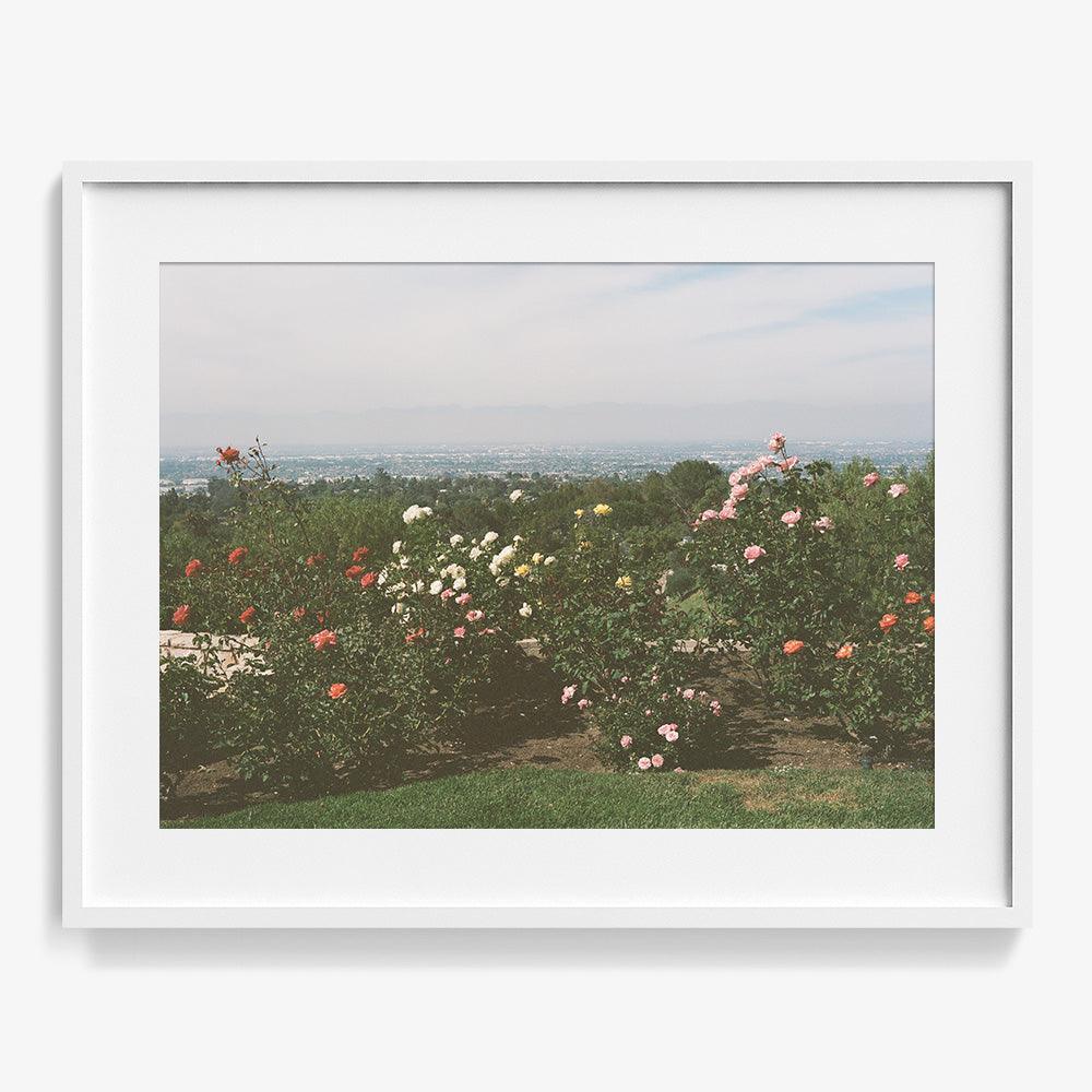 Photograph by Gia Coppola