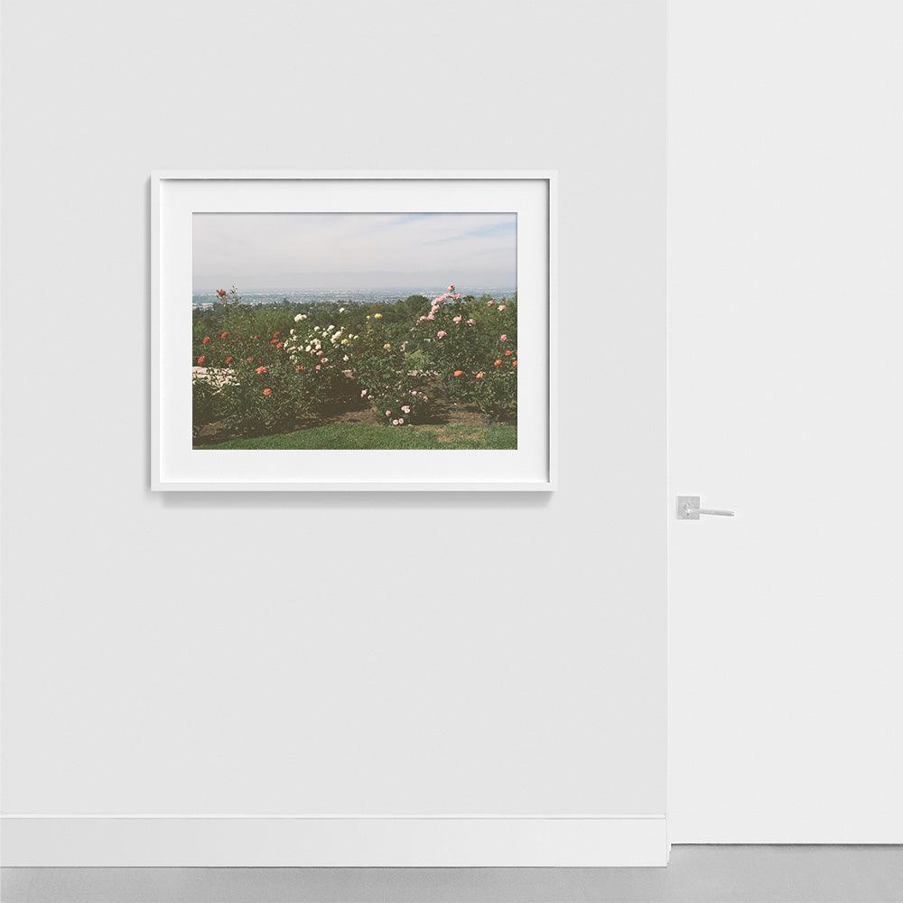 Photograph by Gia Coppola