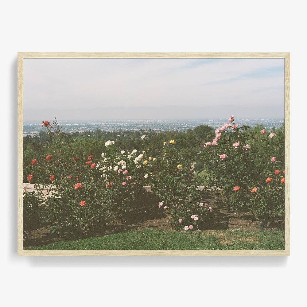 Photograph by Gia Coppola