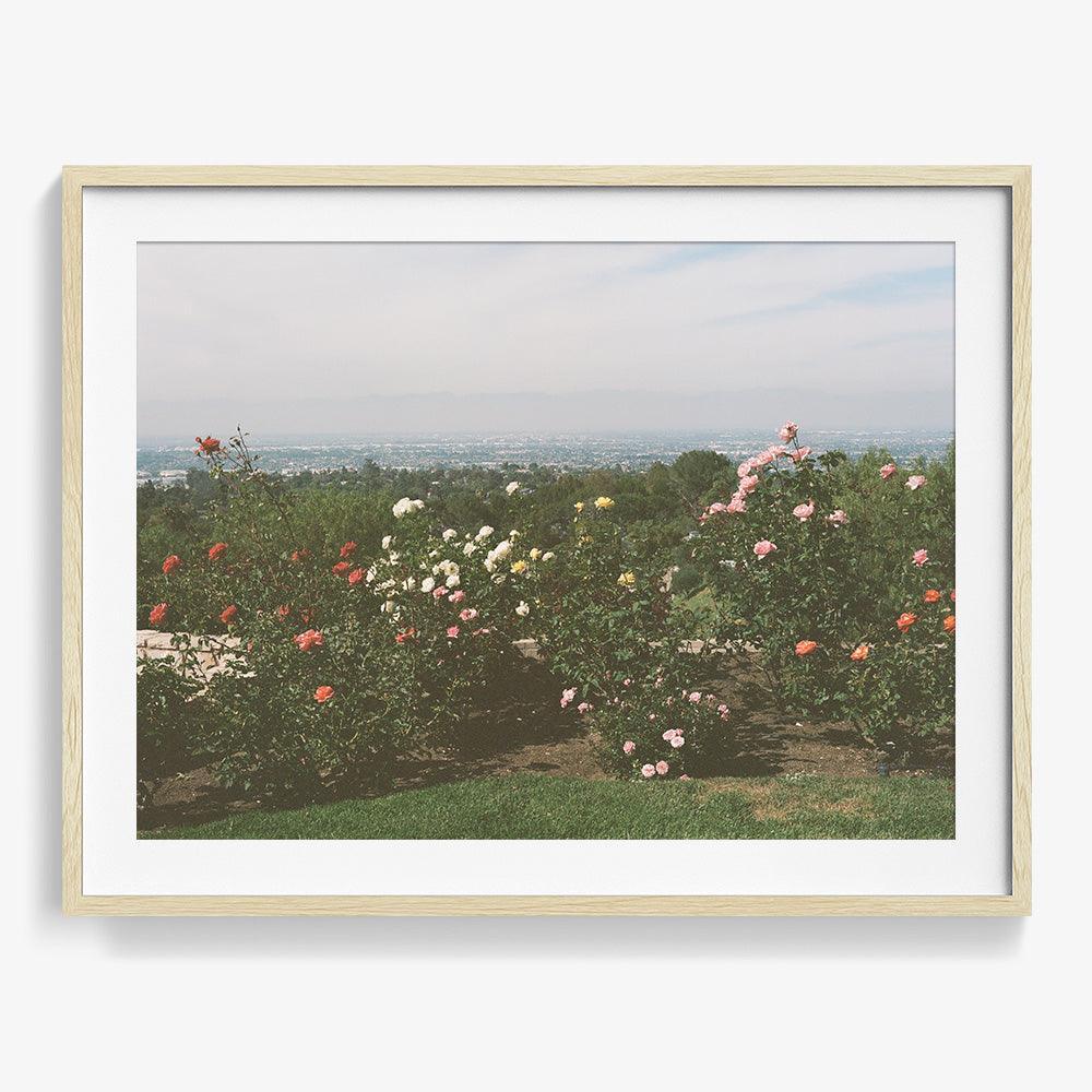 Photograph by Gia Coppola