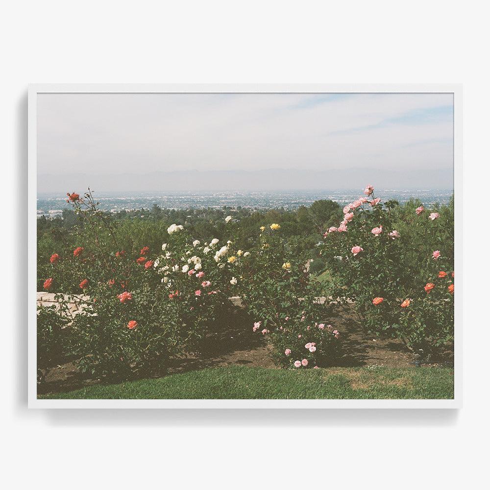 Photograph by Gia Coppola