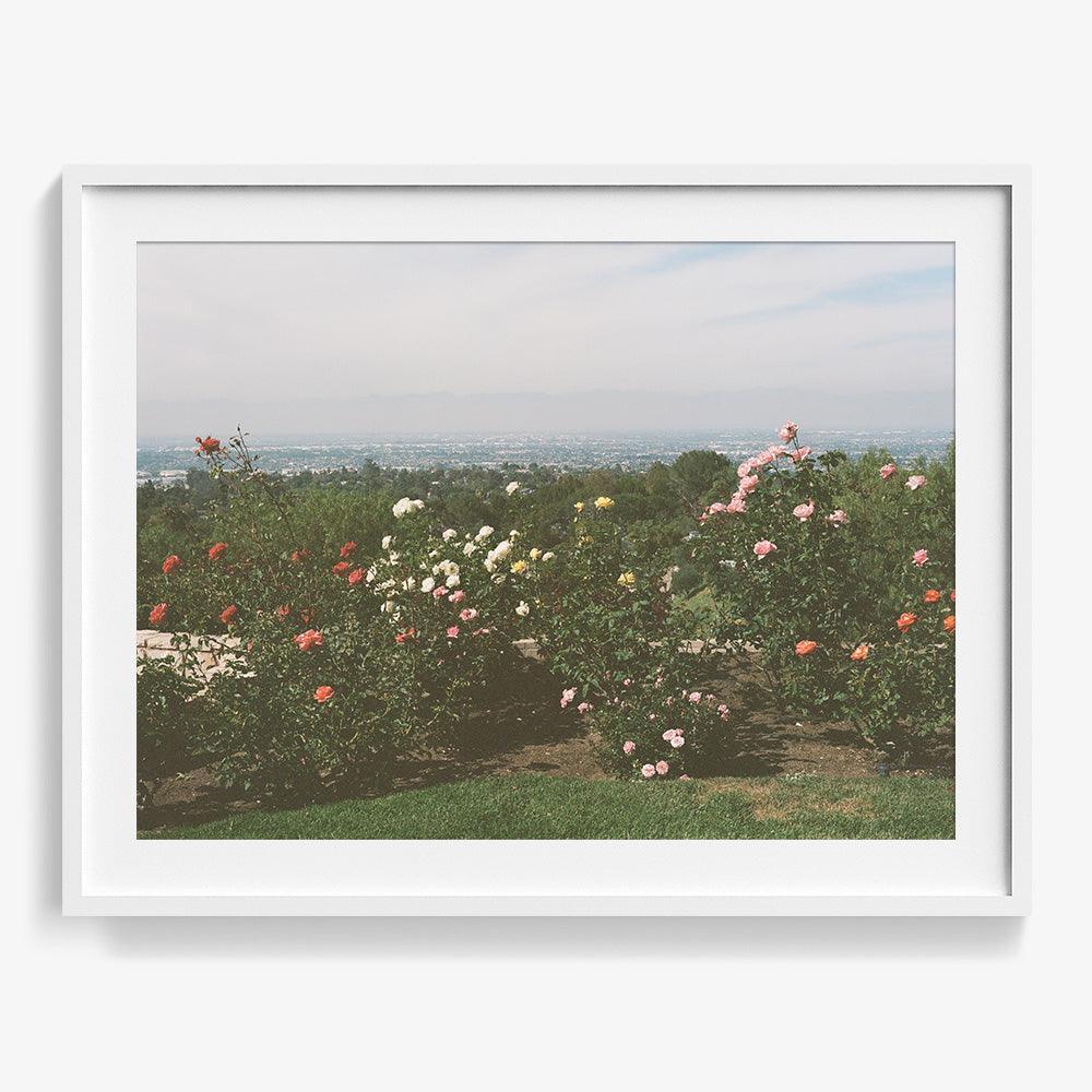 Photograph by Gia Coppola
