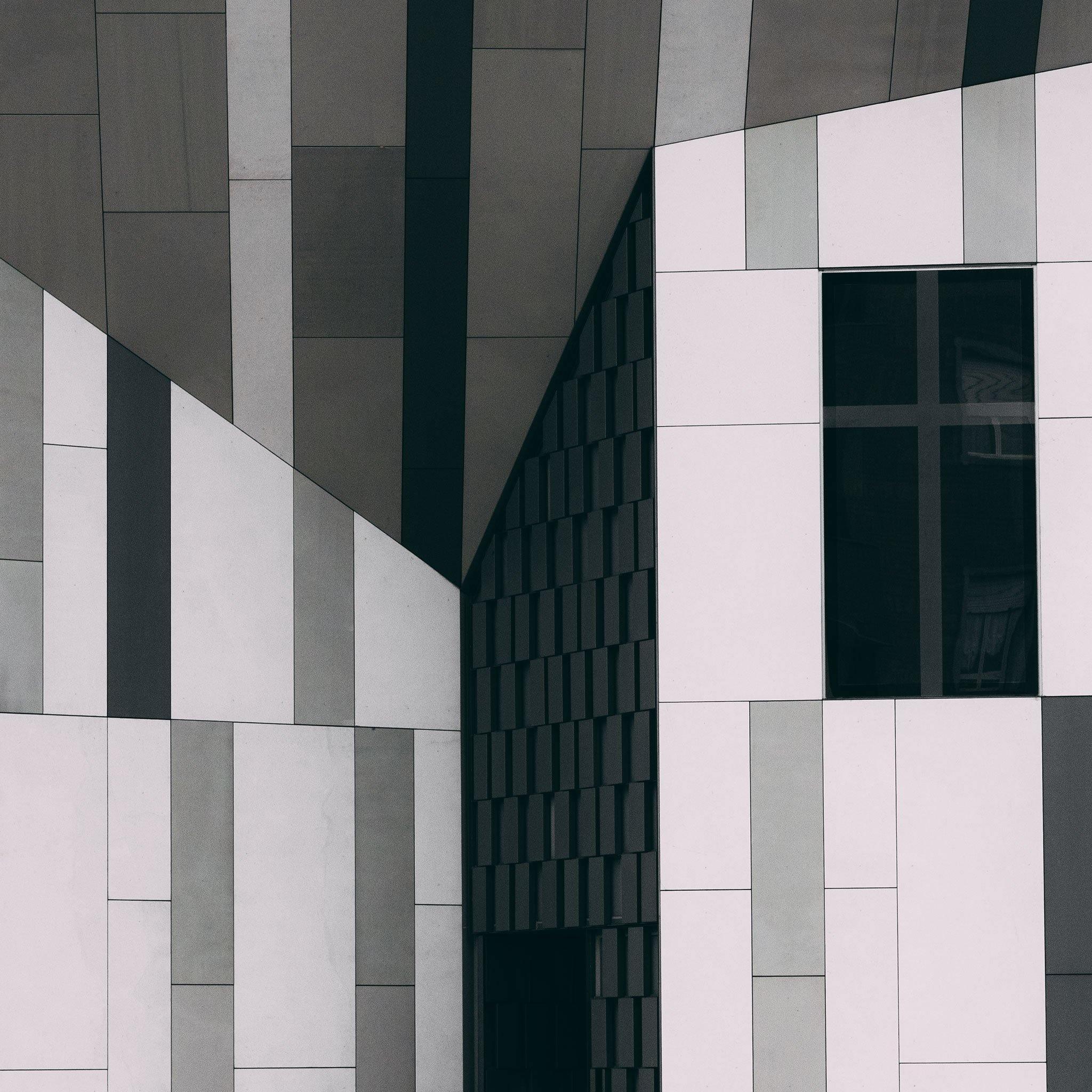 Monolicious V, Photograph  by  Monolicious V Tappan