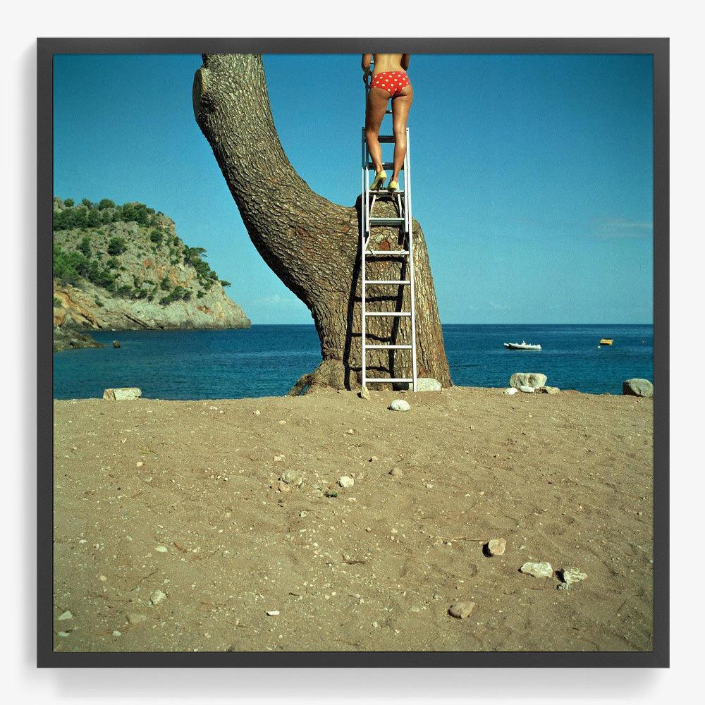 Photograph by Annelie Vandendael