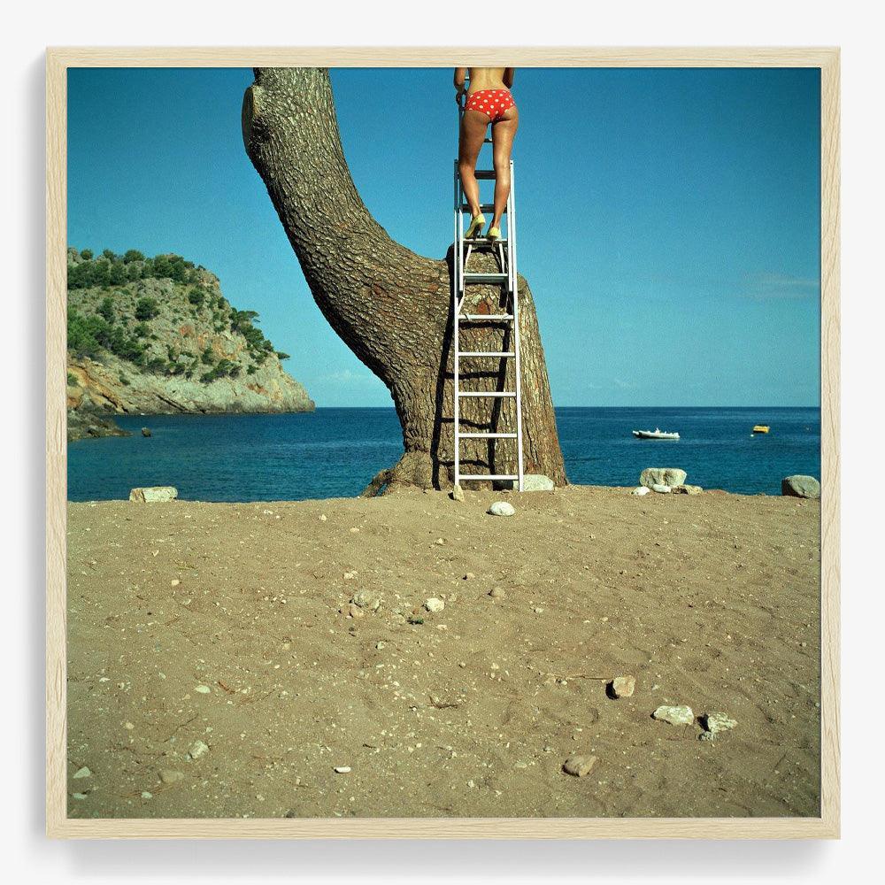 Photograph by Annelie Vandendael