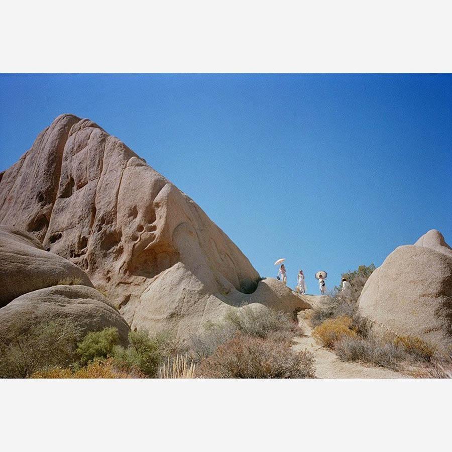 Photograph by Gia Coppola