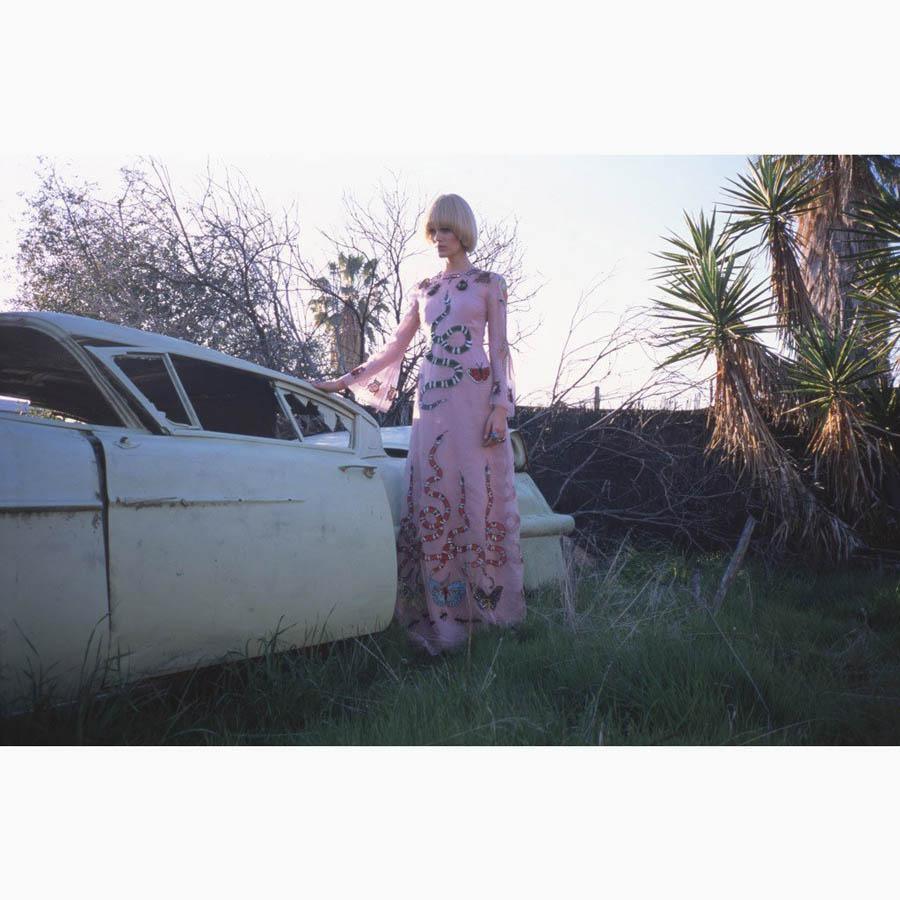 Untitled II, Photograph  by  Untitled II Tappan